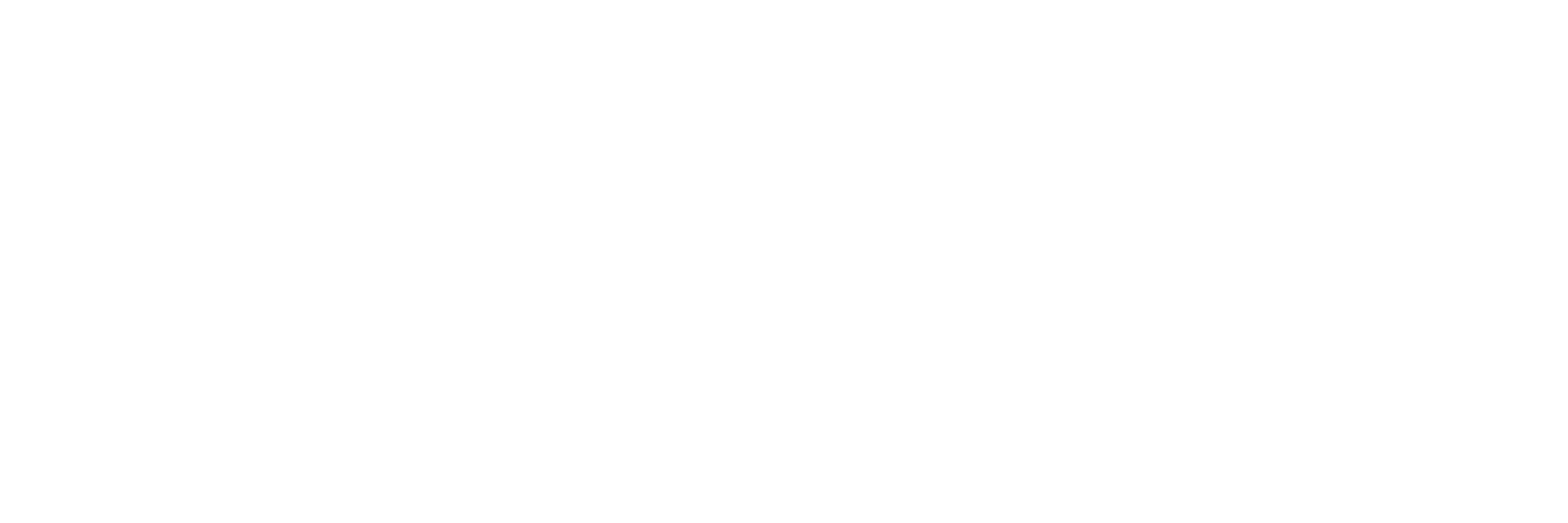 Phønix Tag Energi