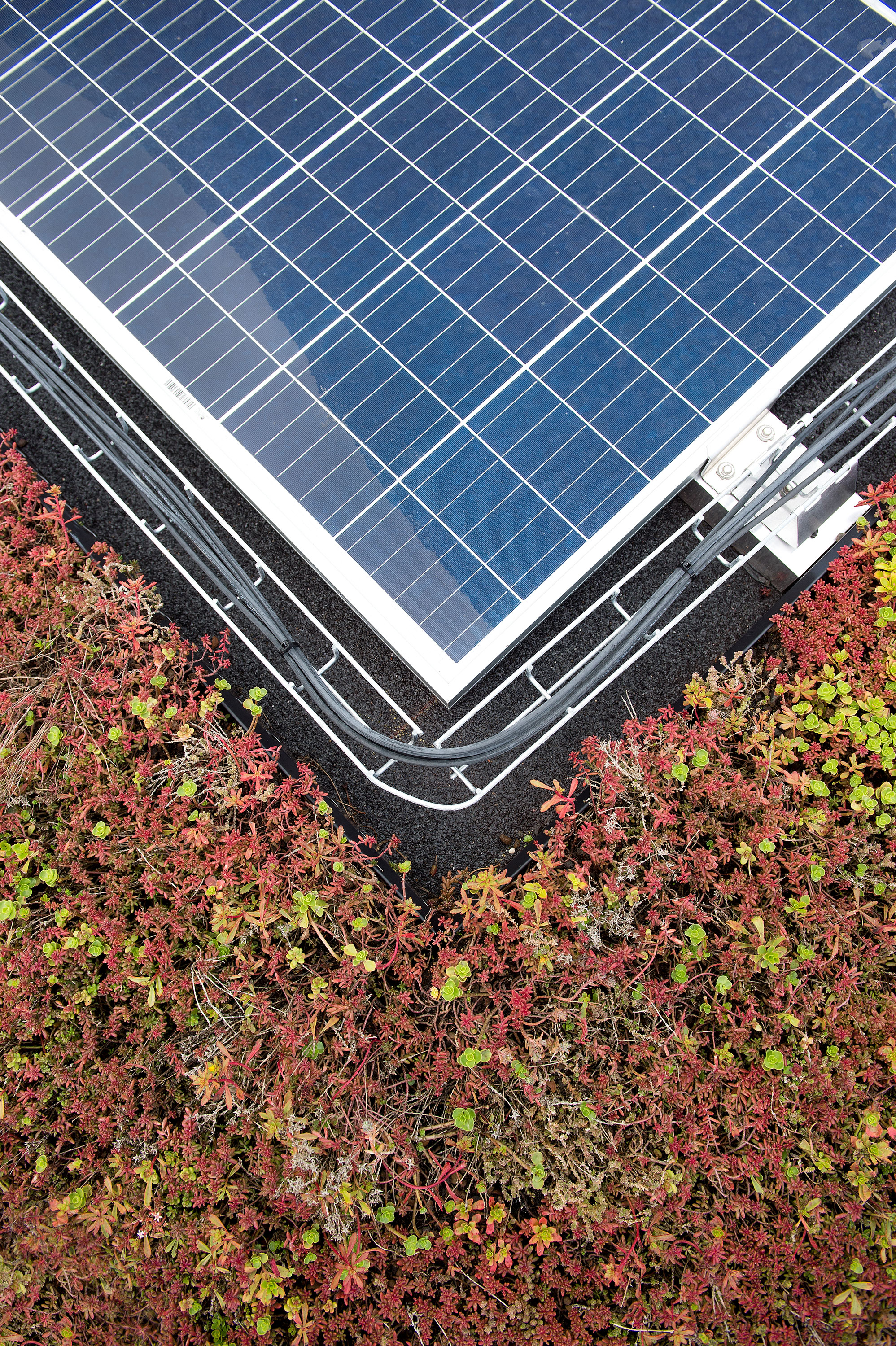 Risskovbrynet J 26 3000